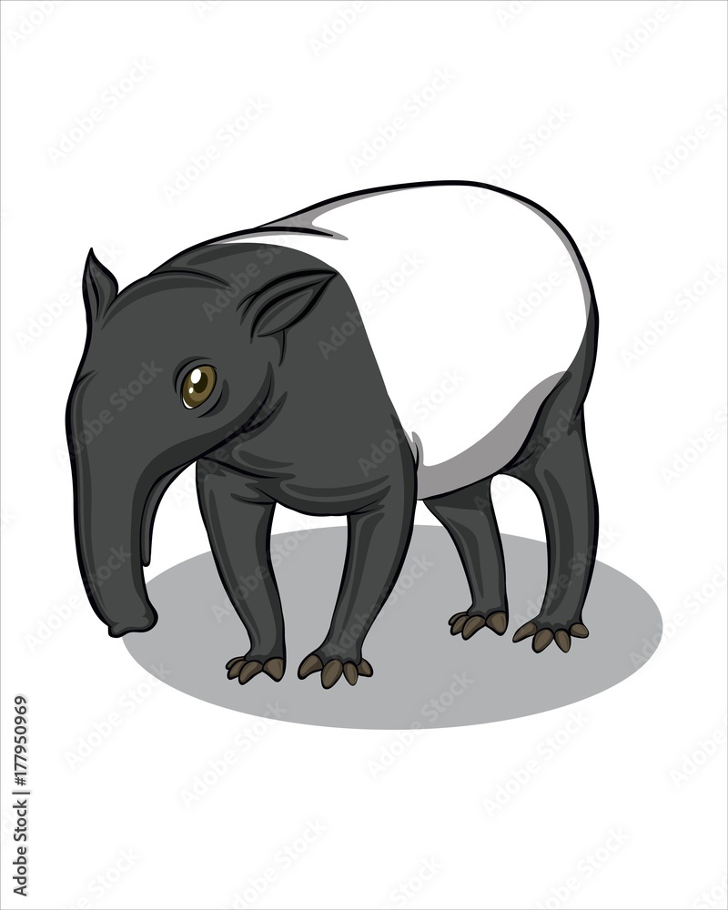Cute Tapir-vector drawing-isolated white background Cute Tapir-vector drawing-isolated white background
