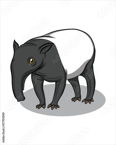 Cute Tapir-vector drawing-isolated white background