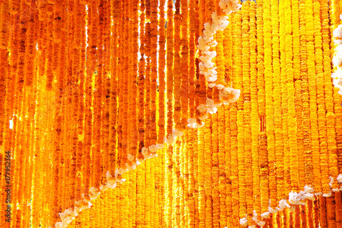 Fototapeta Naklejka Na Ścianę i Meble -  Flower Arrangement tunnel