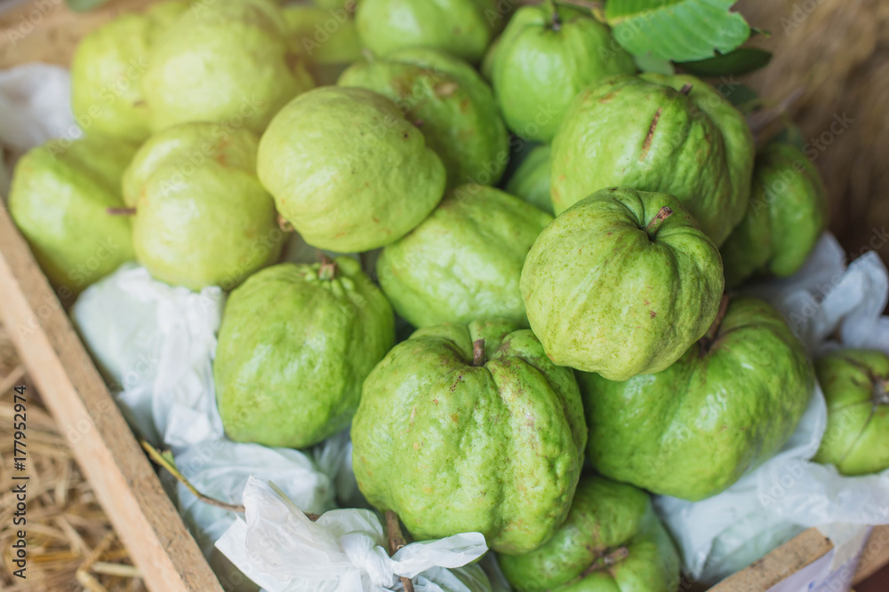 Guava fruit fresh for background guava juice product , Organic Guava food green Guava fruit fresh for background guava juice product , Organic Guava food green