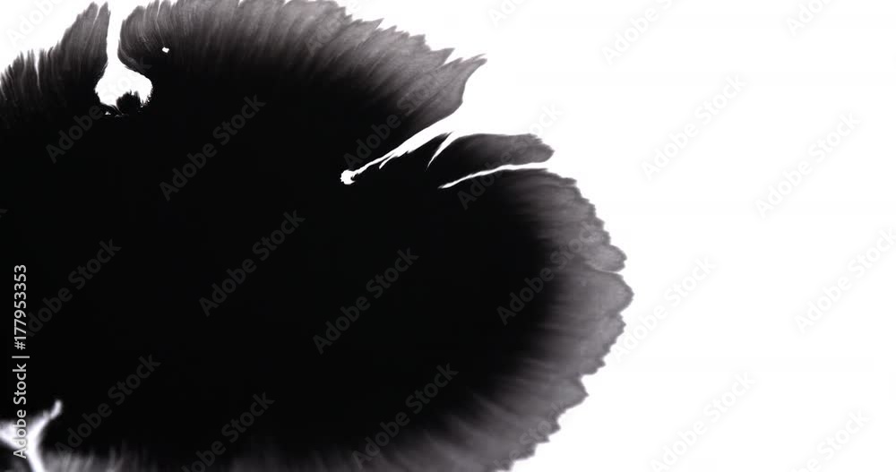 Black in swirling and flowing into white background with amazing detail on the ink bleed