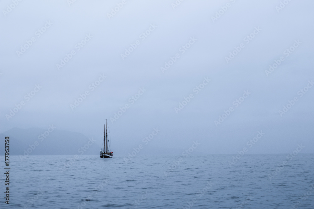 Fototapeta premium Whales