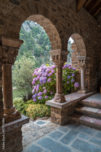 Hydrangeas bush and arch in the Romanesque Abbey of Saint Martin du Canigou photo