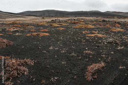 Volcanic landscape