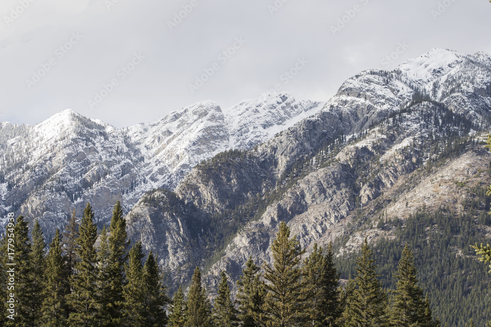 The snow-capped mountains and forest view from the town of Banff, Alberta, Canada.