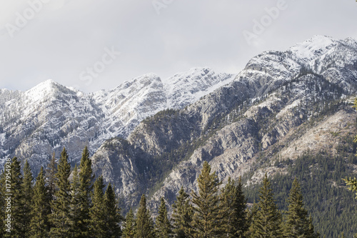 The snow-capped mountains and forest view from the town of Banff, Alberta, Canada.