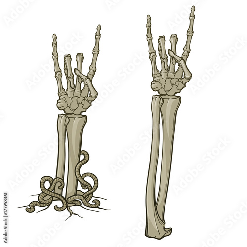 Zombie body language. Sign of the horns. Pair of skeleton hands rising from the ground and torn apart. Monochrome drawing isolated on white background. EPS10 vector