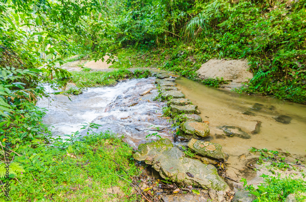 trek trail at the northern of Thailand trek trail at the northern of Thailand