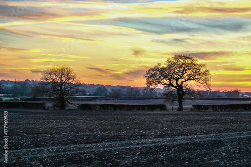 Sunset in winter in the Essex countryside. photo