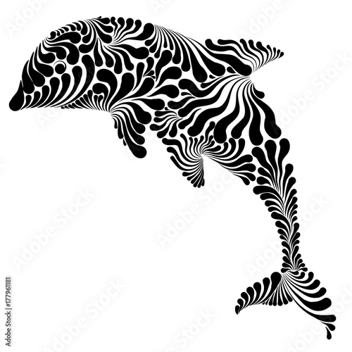 Dolphin graphic illustration