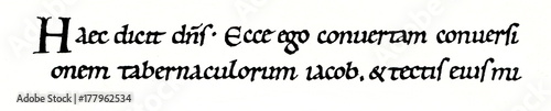 Carolingian minuscule, 11th century (from Meyers Lexikon, 1896, 13/420/421)