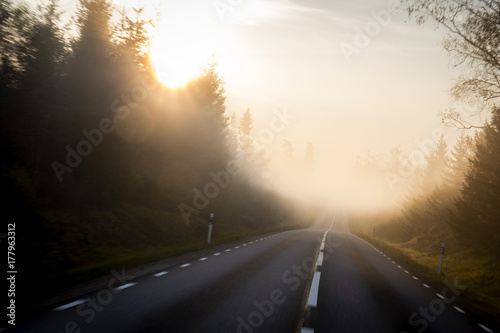 Driving on a misty road in the morning