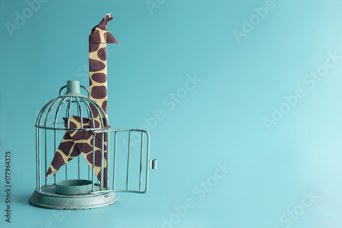 Captive