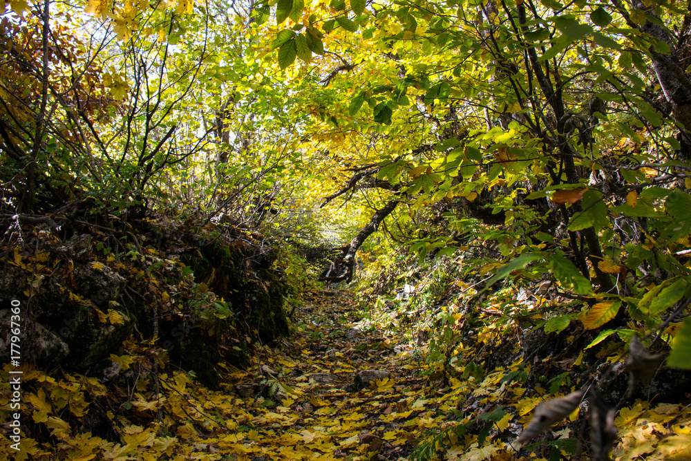 Autumn in Racha, Georgia