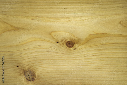Veneer from cypress wood. Backdrop wooden.