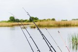 fishing rods on water