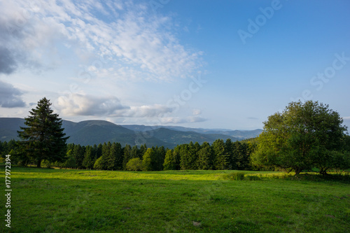 France - Warm sunset light on green meadow with trees and forest in french mountains