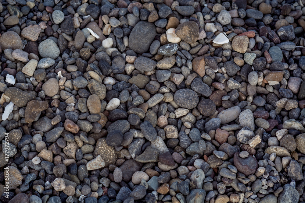 Rocks on Beach
