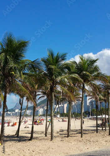 View of coconut trees in Copacabana in Rio de Janeiro Brazil © Gustavo