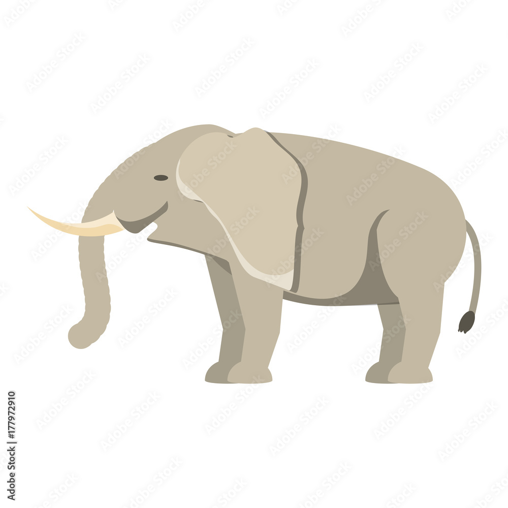 Obraz premium elephant vector illustration
