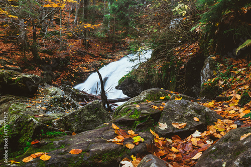 Risslochwasserfälle mit Wasserfall und Laub im Herbst im Bayerischen Wald photo