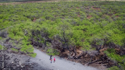 Hawaii Fly Over Trees and Trail