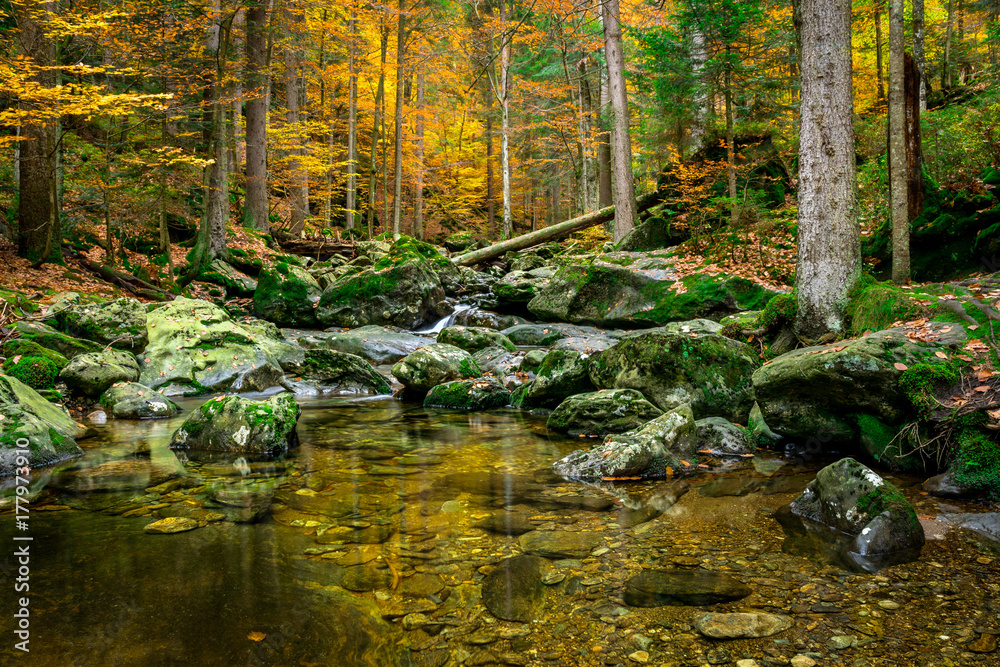 Fluss bei den Risslochwasserfällen im Bayerischen Wald im Herbst Fluss bei den Risslochwasserfällen im Bayerischen Wald im Herbst