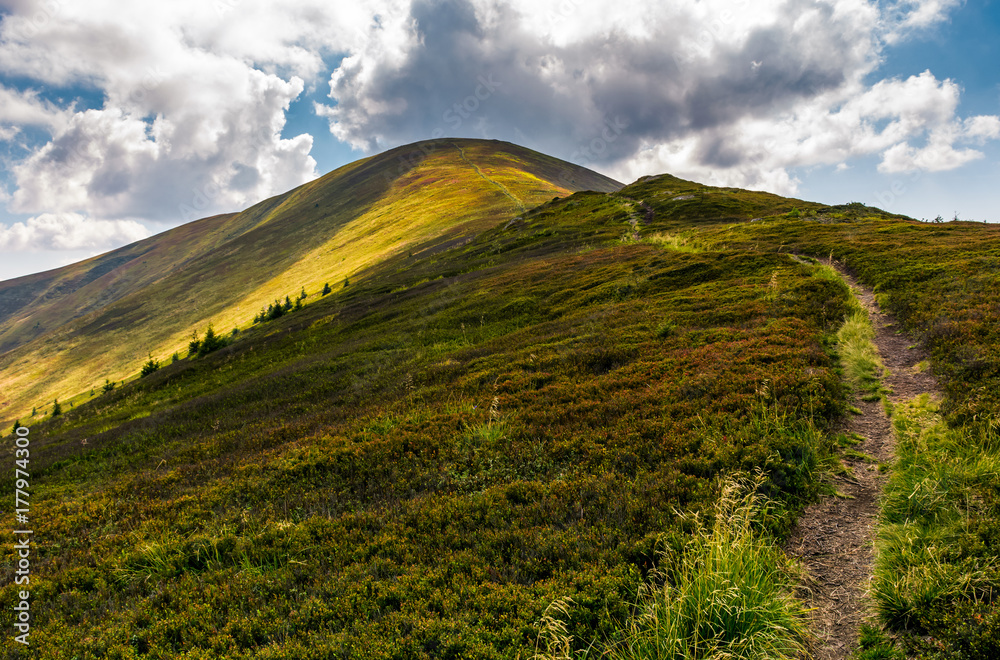 path uphill the mountain ridge. beautiful scenery in fine summer weather