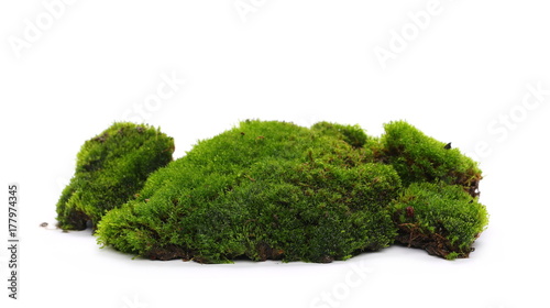 Wet green mossy hill isolated on white background