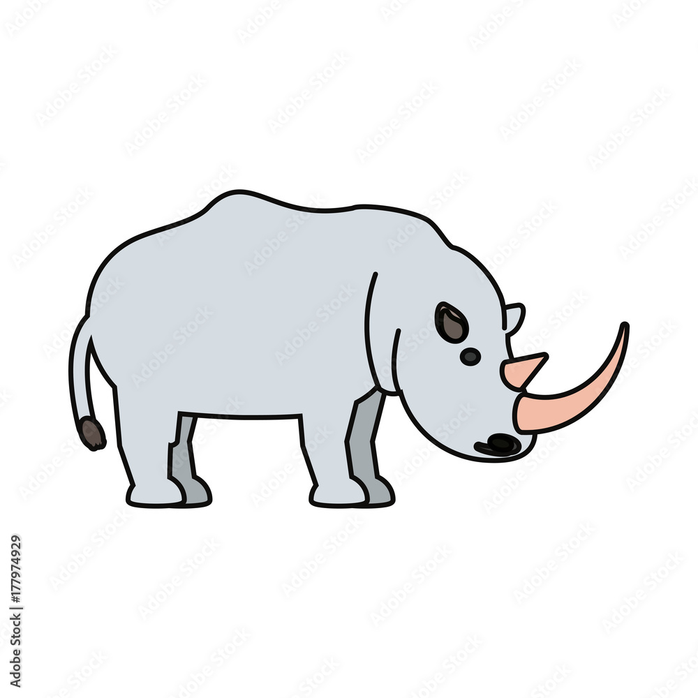 rhino vector illustration