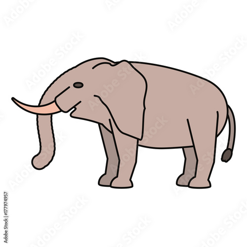elephant vector illustration © djvstock