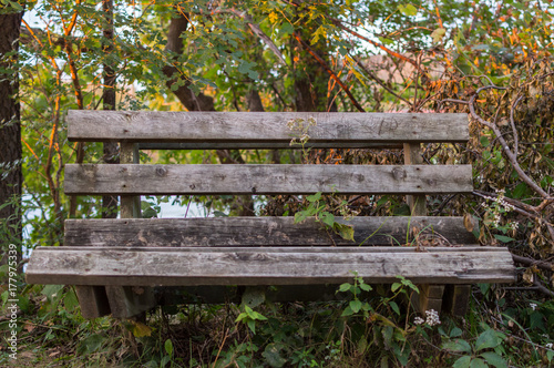 A weathered park bench in surrounded by trees