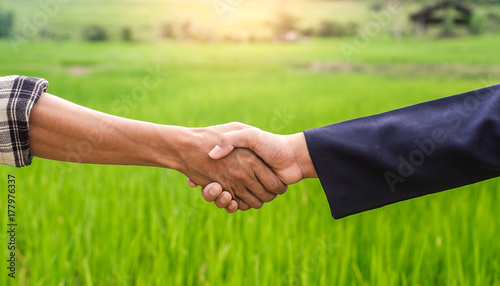 Close up hands of farmer and businessman standing and shaking hands on rice field