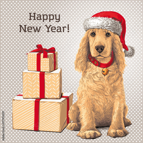Dog Sitting In Santa Hat Next To Gift 