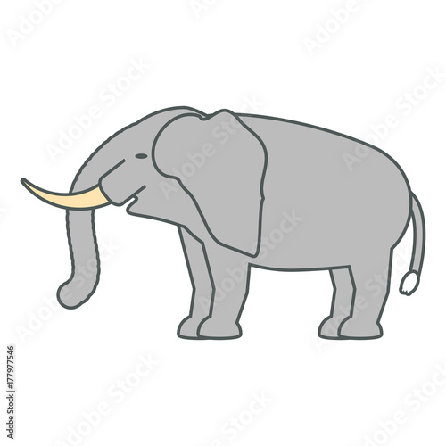 elephant vector illustration