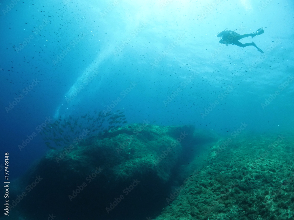 Fototapeta premium Scuba Diving Malta