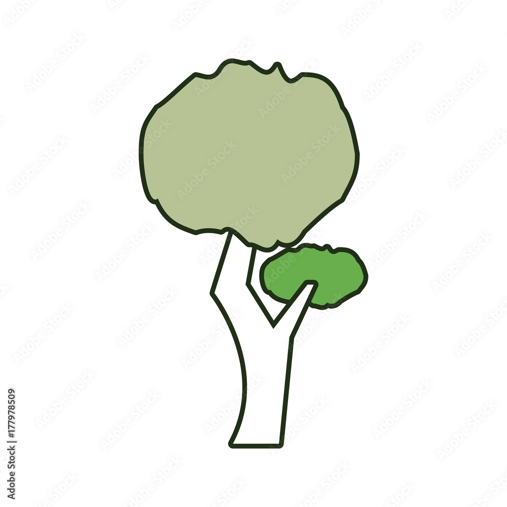 tree vector illustration tree vector illustration