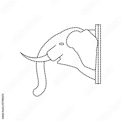 flat line  uncolored  animal trophy  with elephant  sticker  over white background  vector illustration