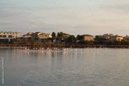 Palavas les flots, a seaside resort of the Languedoc coast, France photo