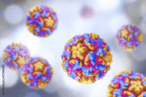 Rhinoviruses, viruses cause common cold and rhinitis. 3D illustration