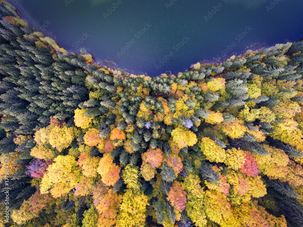 Aerial view of a lake and forest in autumn