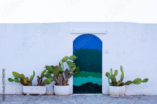 Color door with cactus and the traditional white walls in the town of Ostuni