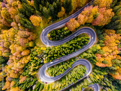 Winding Road surrounded by a colourfull trees in the forest