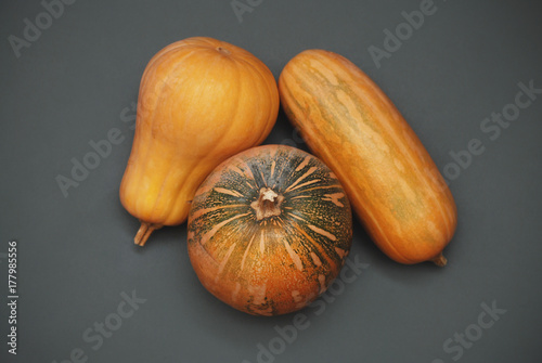 Orange and green Pumpkins on the garay background. October. Gardening. photo