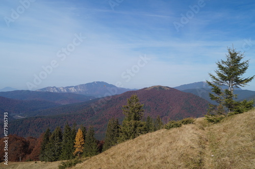 View from the Baiului Mountains  1700m-1800m   Azuga  Prahova  Romania  Muntii Baiului 