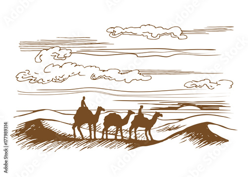 Camels are on the desert 