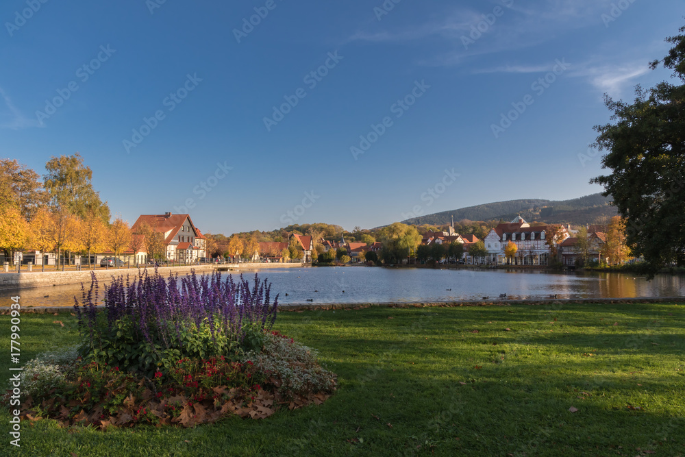 Herbst mit nachmittagssonne am See in Ilsenburg/ Ostharz
