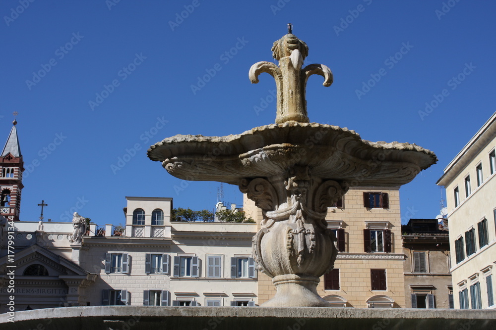two fountains from old bathtub in square if front of embassy of France (Fontana di Piazza Farnese) in Rome, Italy. 