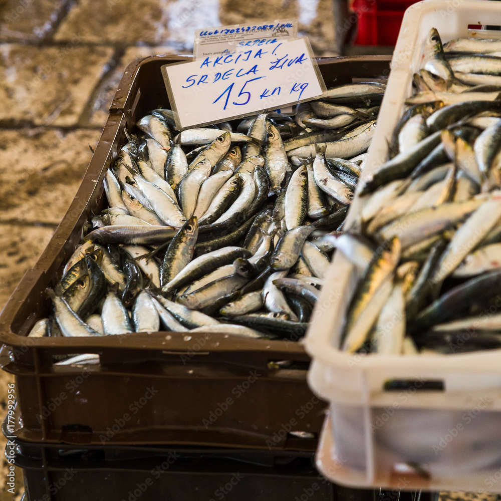 Obraz premium Crates of fish stacked up