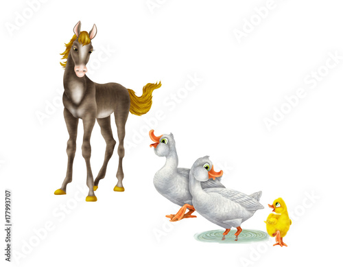 Two geese and a horse.